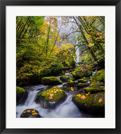 Framed Mccord Creek In Autumn, Oregon Print