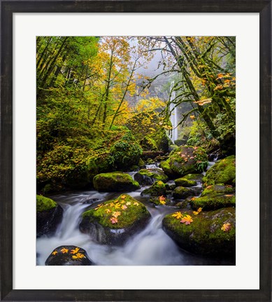 Framed Mccord Creek In Autumn, Oregon Print
