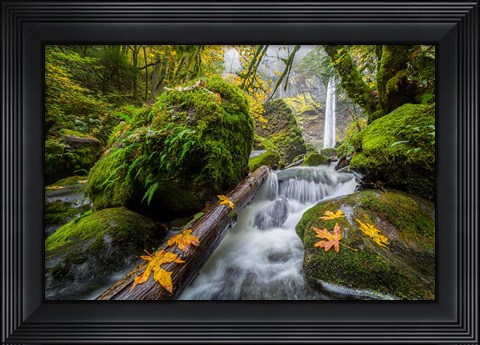 Framed Autumn At Elowah Falls, Oregon Print