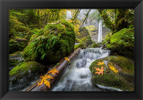 Framed Autumn At Elowah Falls, Oregon Print