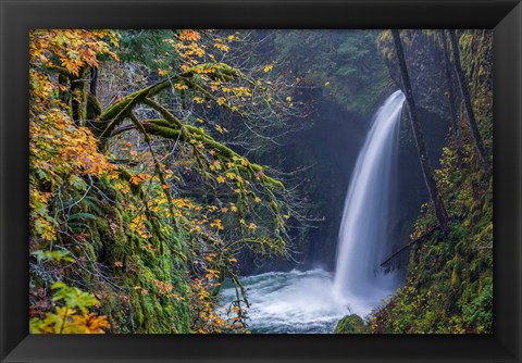 Framed Autumn At Metlako Falls On Eagle Creek, Oregon Print