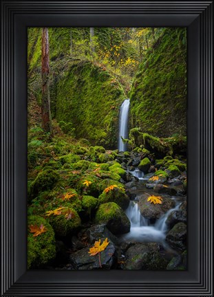 Framed Mossy Grotto Falls, Oregon Print
