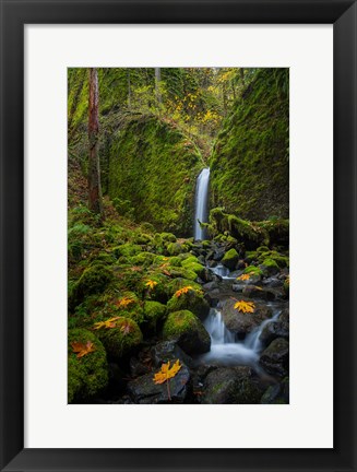 Framed Mossy Grotto Falls, Oregon Print