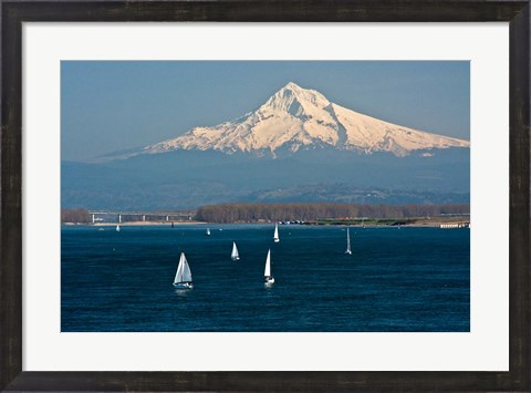 Framed Sailboats On The Columbia River, Oregon Print