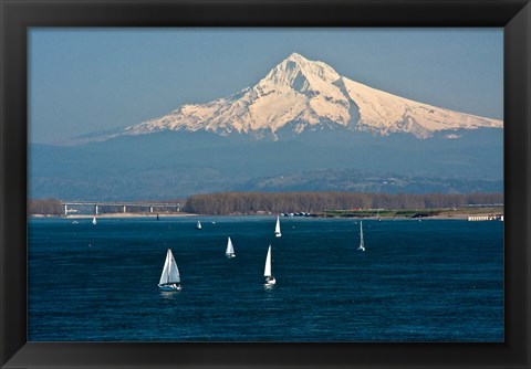 Framed Sailboats On The Columbia River, Oregon Print