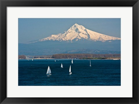 Framed Sailboats On The Columbia River, Oregon Print