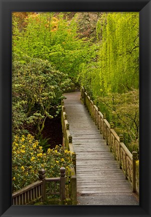 Framed Bridge At Crystal Springs Rhododendron Garden, Portland, Oregon Print