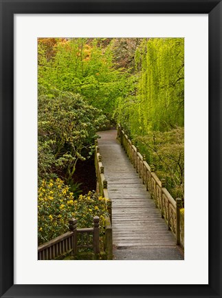 Framed Bridge At Crystal Springs Rhododendron Garden, Portland, Oregon Print
