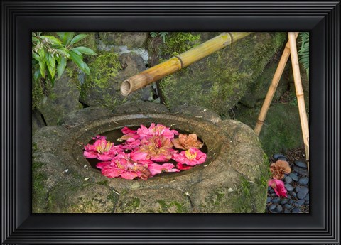 Framed Water Basin Flowers, Portland Japanese Garden, Oregon Print
