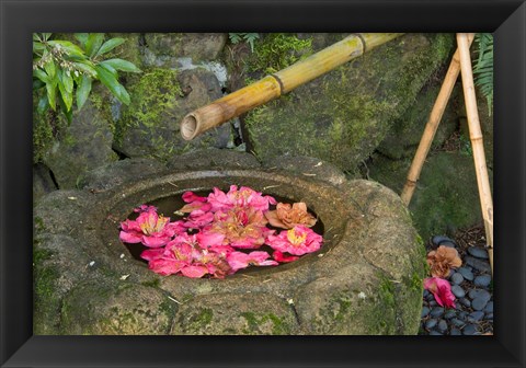 Framed Water Basin Flowers, Portland Japanese Garden, Oregon Print