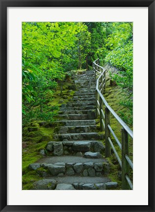 Framed Summer Staris In The Portland Japanese Garden, Oregon Print