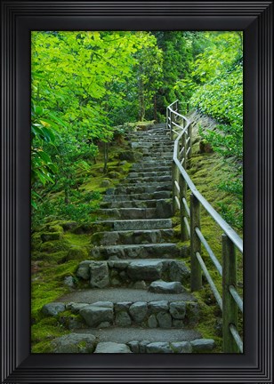 Framed Summer Staris In The Portland Japanese Garden, Oregon Print