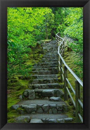 Framed Summer Staris In The Portland Japanese Garden, Oregon Print