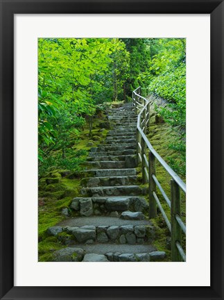 Framed Summer Staris In The Portland Japanese Garden, Oregon Print