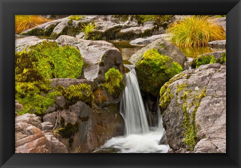 Framed Autumn At Little Falls, Umpqua National Forest, Oregon Print