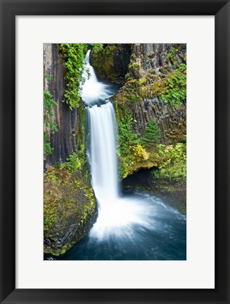 Framed Toketee Falls, Umpqua National Forest, Oregon Print