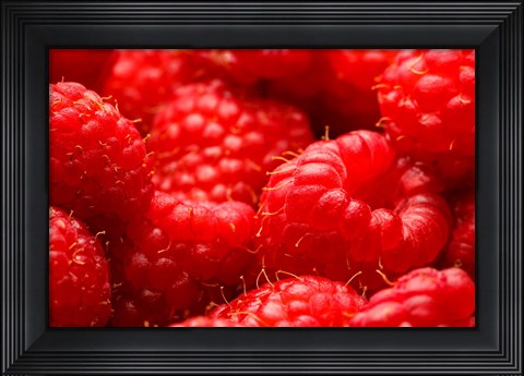 Framed Close-Up Of Fresh Raspberries Print