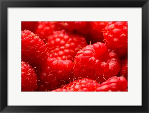 Framed Close-Up Of Fresh Raspberries Print