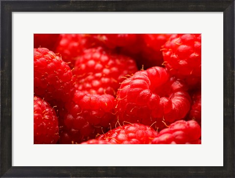 Framed Close-Up Of Fresh Raspberries Print