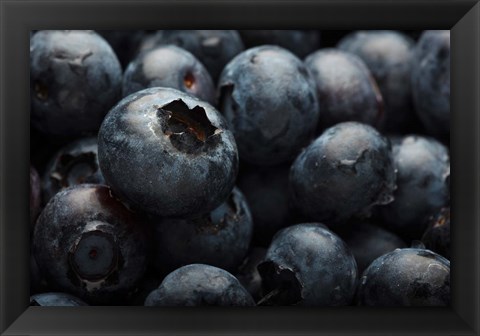 Framed Close-Up Of Dark Blueberries Print