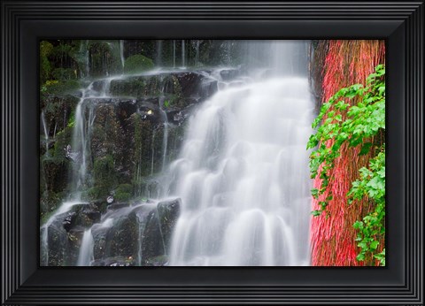 Framed Coopey Falls, Oregon Print