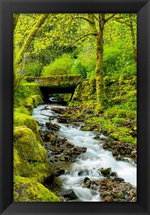 Framed Wahkeena Falls, Oregon Print