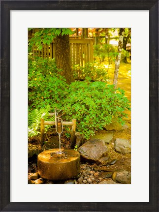 Framed Japanese Garden, Dundee, Oregon Print