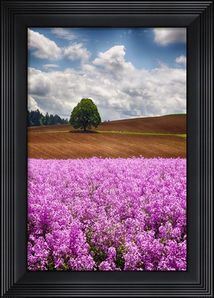 Framed Willamette Valley Of Oregon Print