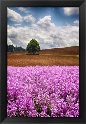 Framed Willamette Valley Of Oregon Print