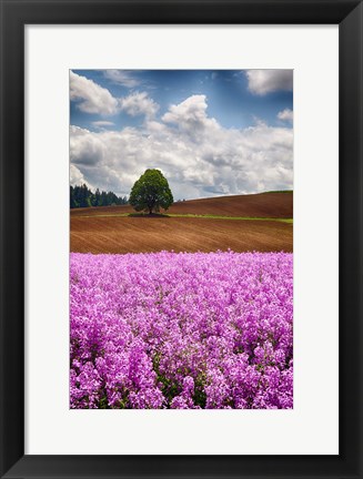 Framed Willamette Valley Of Oregon Print