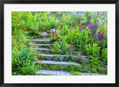Framed Summer Flowers On Stairs In Pennsylvania Print