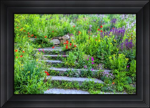 Framed Summer Flowers On Stairs In Pennsylvania Print