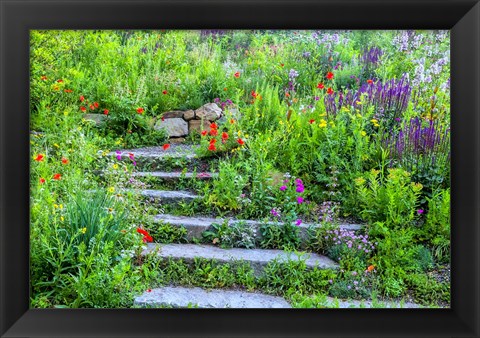 Framed Summer Flowers On Stairs In Pennsylvania Print