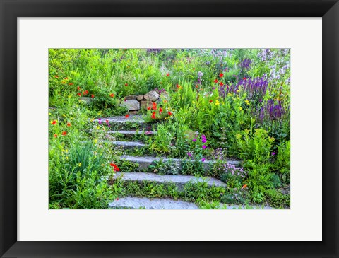 Framed Summer Flowers On Stairs In Pennsylvania Print