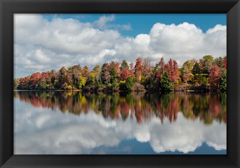 Framed Autumn Lake Reflection Of Ricketts Glen State Park, Pennsylvania Print