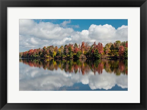 Framed Autumn Lake Reflection Of Ricketts Glen State Park, Pennsylvania Print