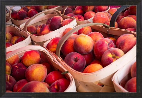 Framed Peaches In Baskets, South Carolina Print