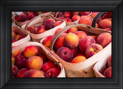 Framed Peaches In Baskets, South Carolina Print