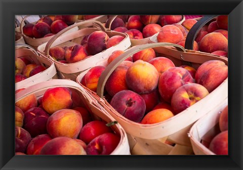 Framed Peaches In Baskets, South Carolina Print