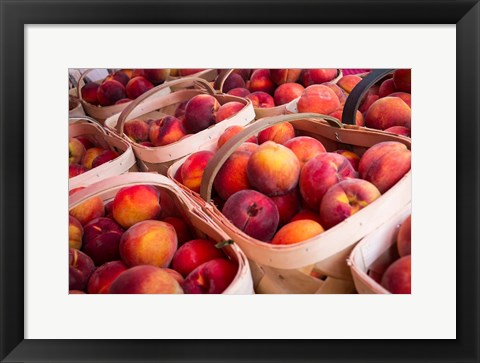 Framed Peaches In Baskets, South Carolina Print