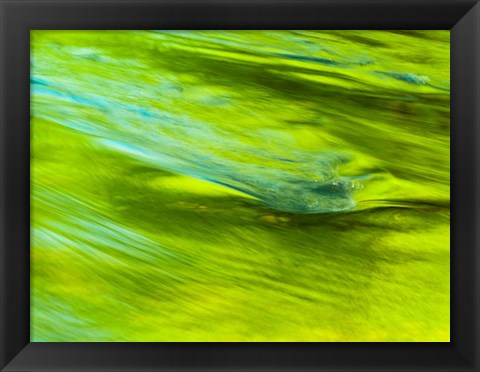 Framed Spring Reflection On The Little Pigeon River Print