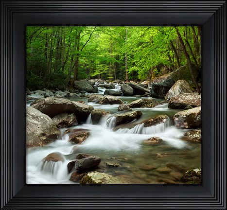 Framed Little Pigeon River At Greenbrier Print