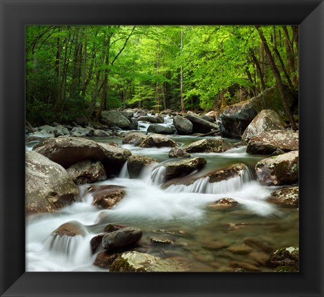 Framed Little Pigeon River At Greenbrier Print