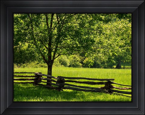 Framed Old Wooden Fence In Cades Cove Print