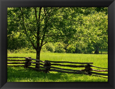 Framed Old Wooden Fence In Cades Cove Print