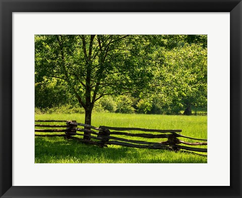 Framed Old Wooden Fence In Cades Cove Print