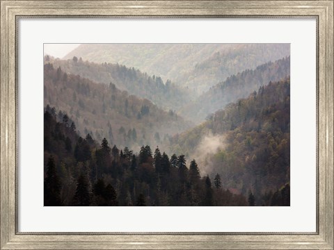 Framed Mist Rises In A Valley Of Tree-Lined Ridges Print