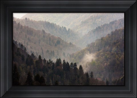 Framed Mist Rises In A Valley Of Tree-Lined Ridges Print