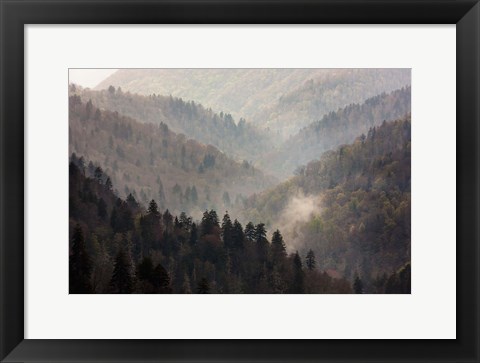 Framed Mist Rises In A Valley Of Tree-Lined Ridges Print