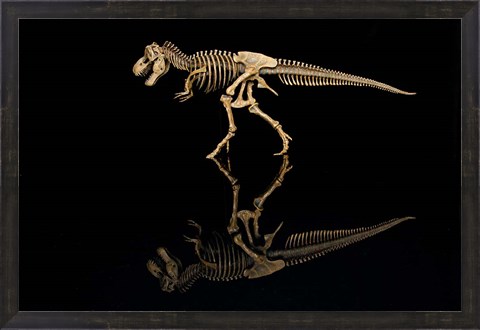 Framed T-Rex Skeleton Replica Reflection Print